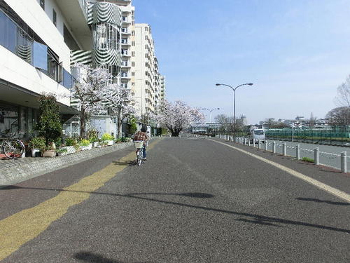 20120410東山道の桜-01.JPG