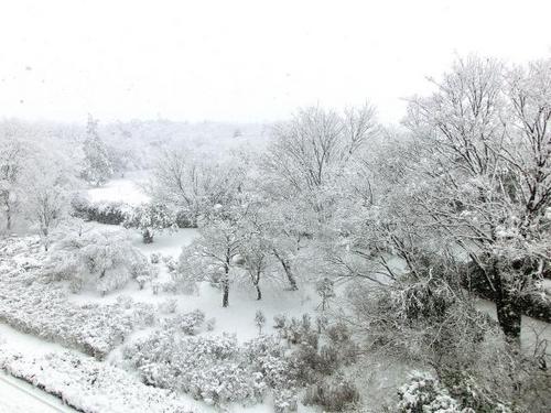 20130114大雪.JPG